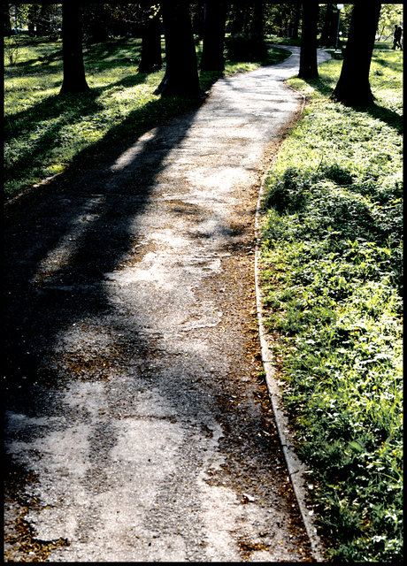 Parkway Enterering - ID 005238