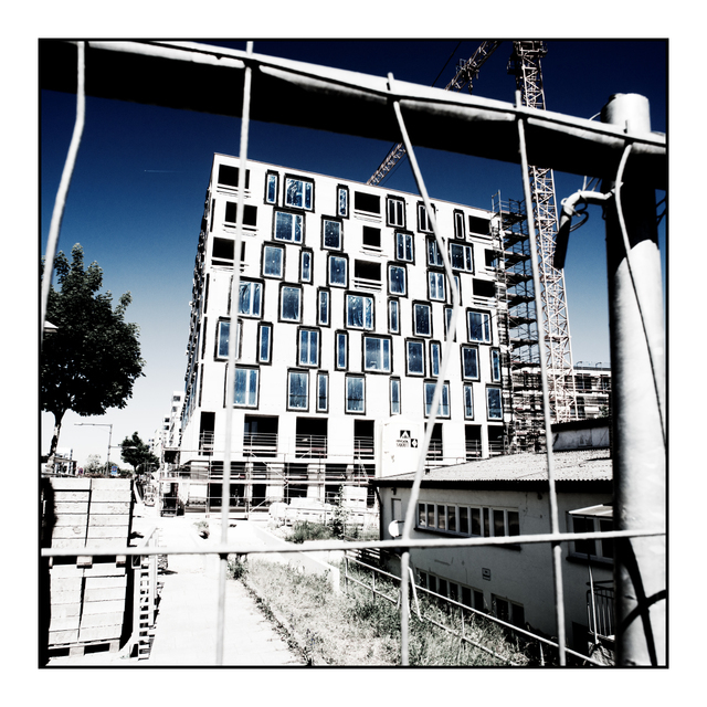 New bright Faces - ID 005267