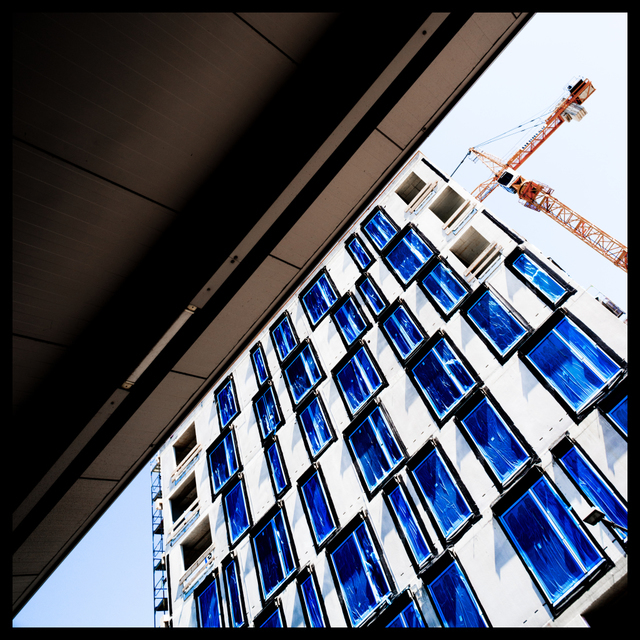 Blue Eyes III - ID 005270