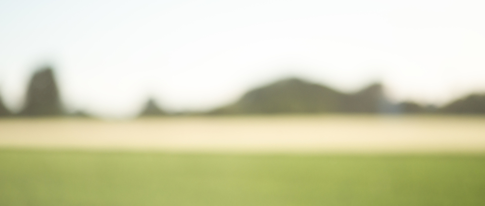 Landscape - ID 005285