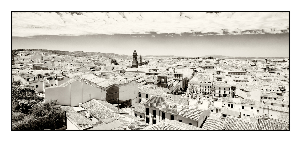 Prospect II - ID 005335