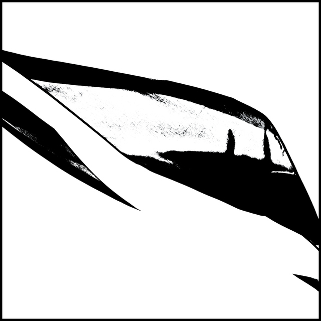 Ulm Flag - ID 005429