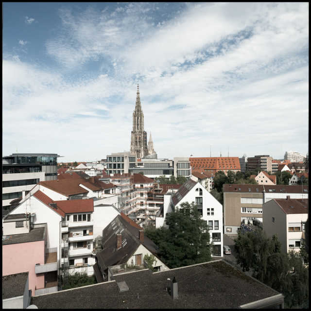 Normal View - ID 005468