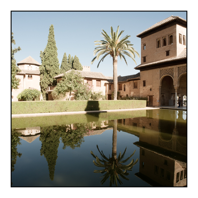 Palace Pond - ID 005493