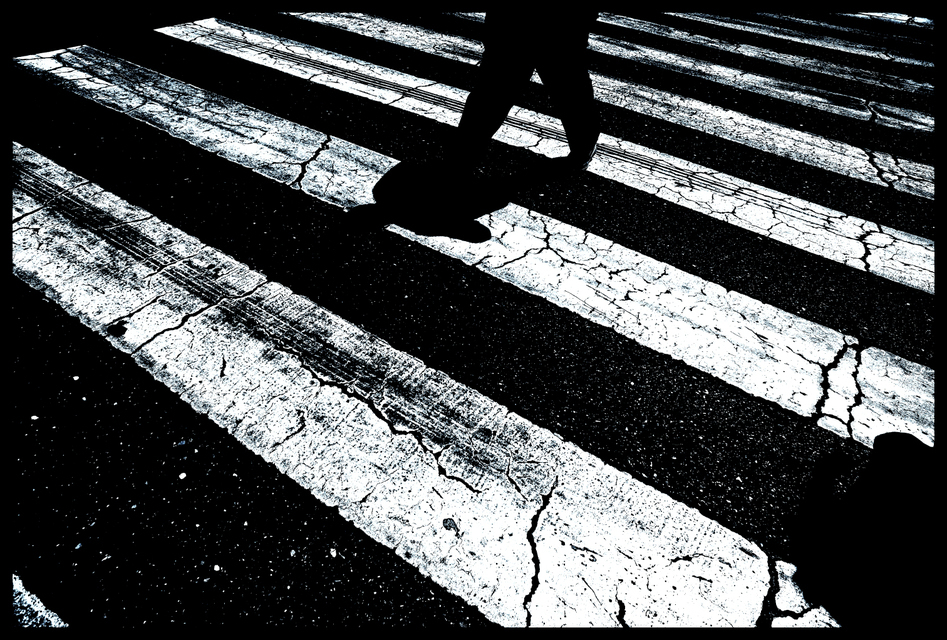 Zebra Street - ID 005505