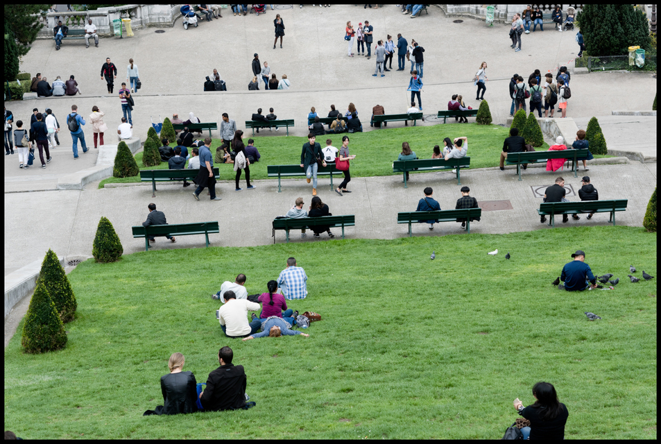 Wimmelpicture - ID 005564