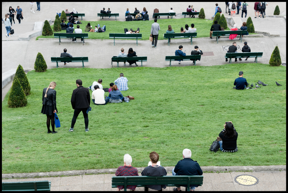 Grass of Sacre-Coeur - ID 005565