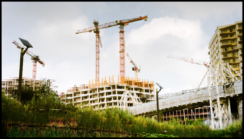 5 Mirrored Cranes - ID 005578