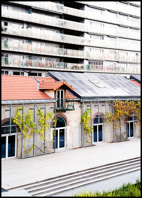 Little Front and Tall Back - ID 005580