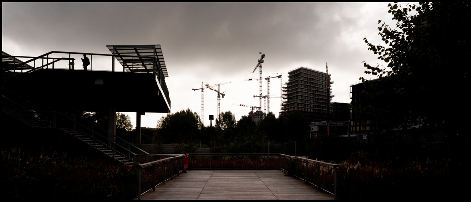 Seven Cranes - ID 005589