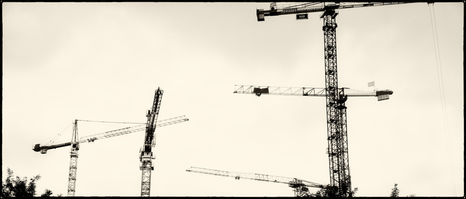 Five Cranes - ID 005597