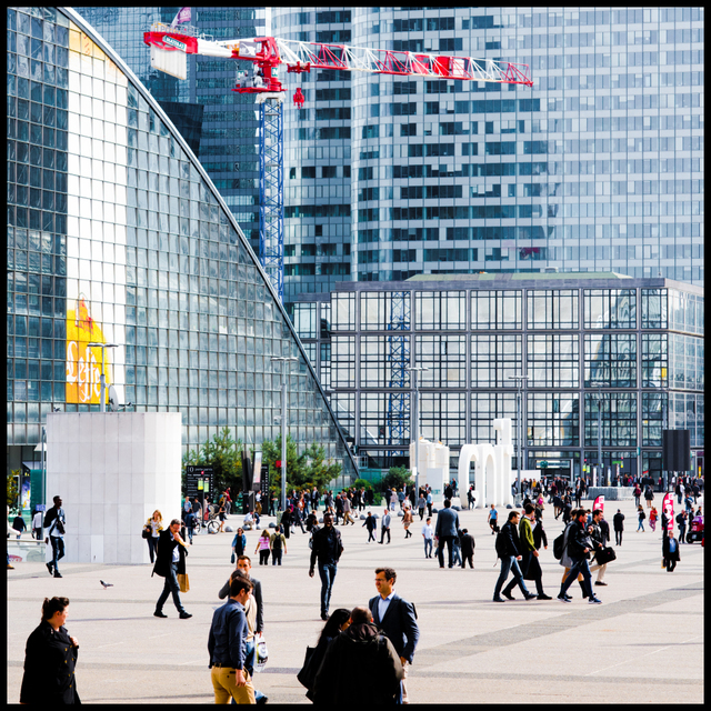 Little Crane - ID 005698