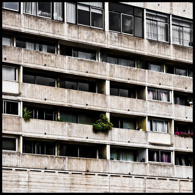 60s Dream - ID 005750