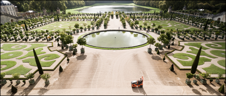 Orange Roller - ID 005796