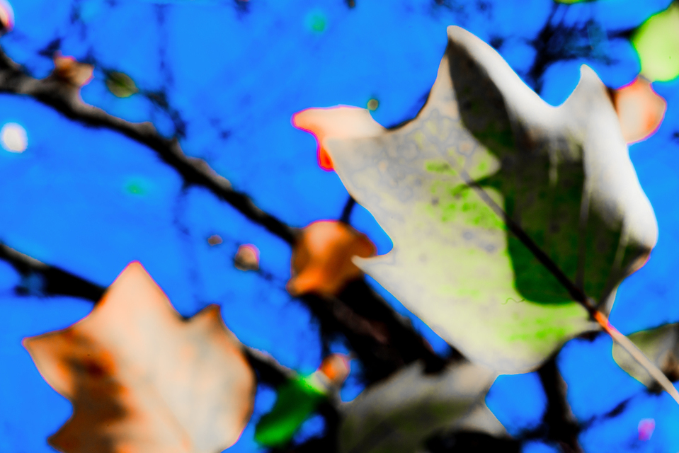 In The Blue - ID 005898