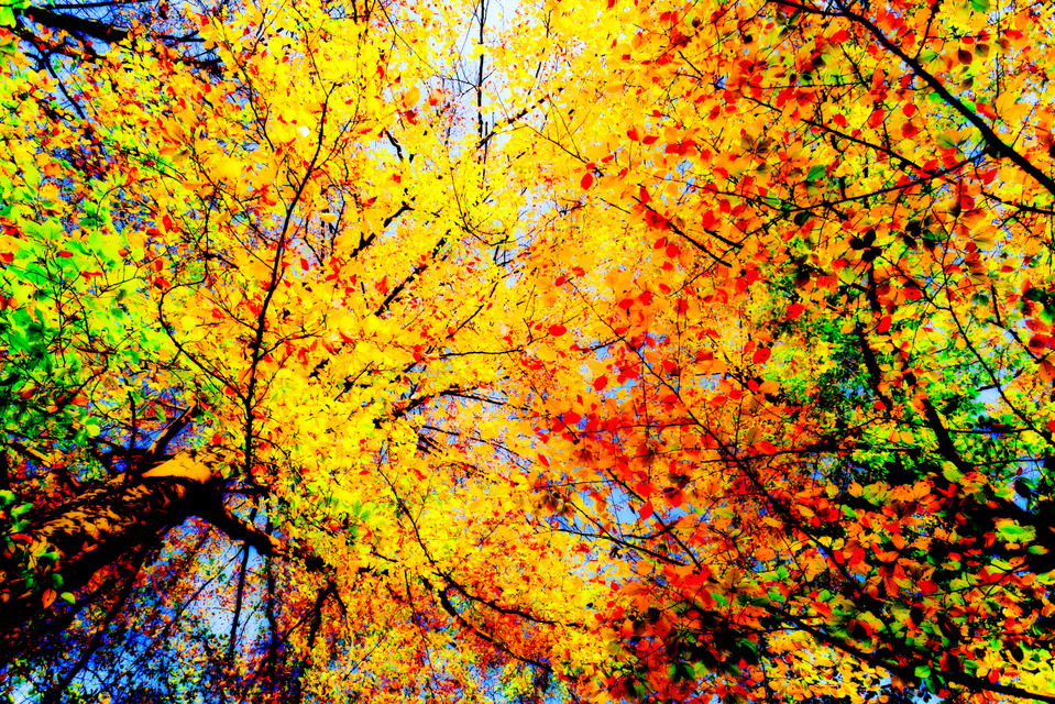 Colored I - ID 005904