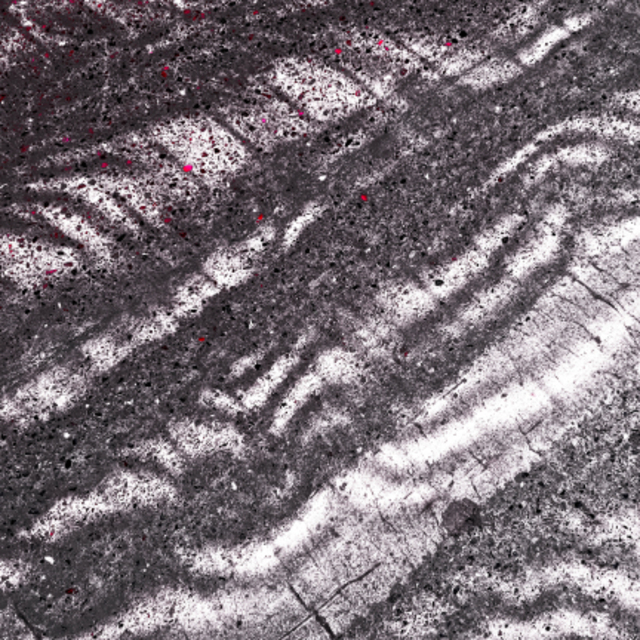 Shadows on the Ground - ID 005964