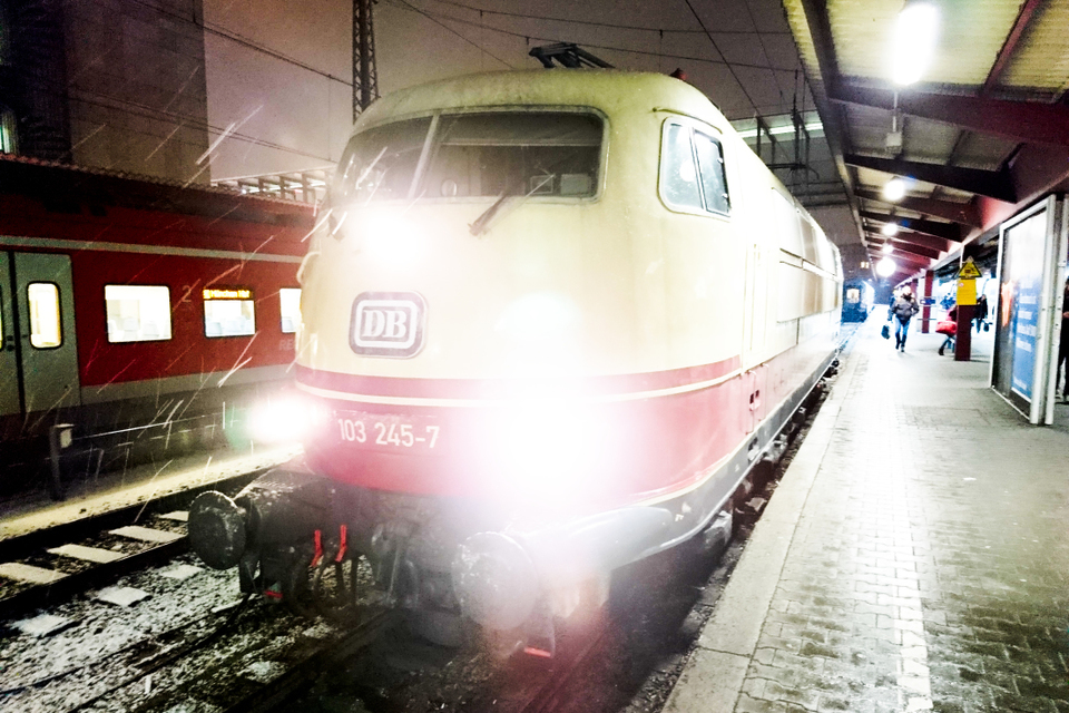 One of the last Unicorns - ID 005977