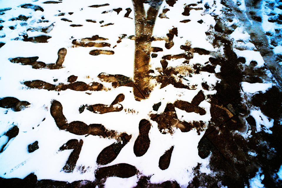 Last Snow Traces I - ID 006086