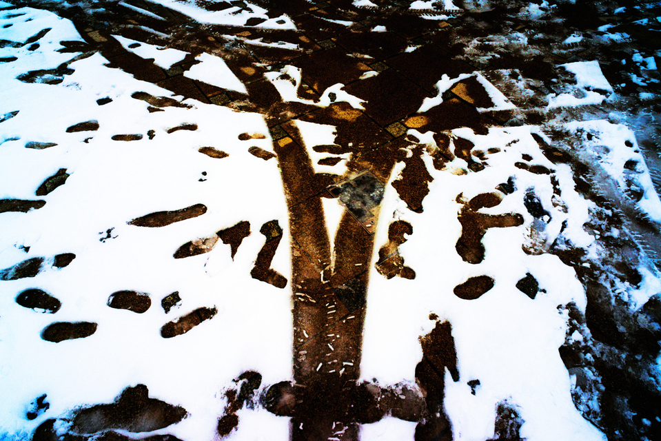 Last Snow Traces II - ID 006087