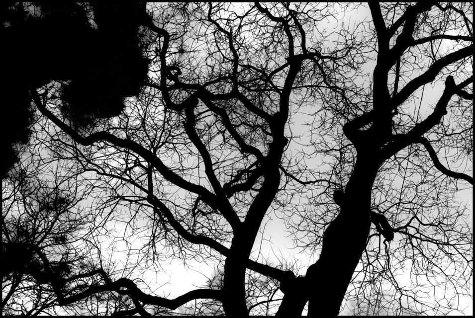 Winter Sadness - ID 006101