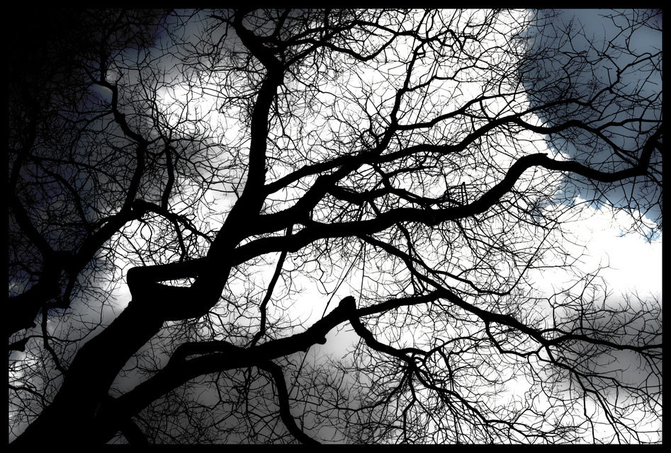 Winter Sadness Blues - ID 006102