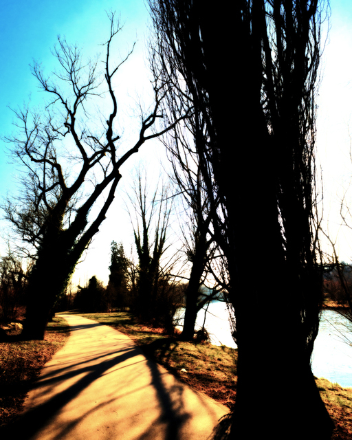 Danube Waterfront Path - ID 006106