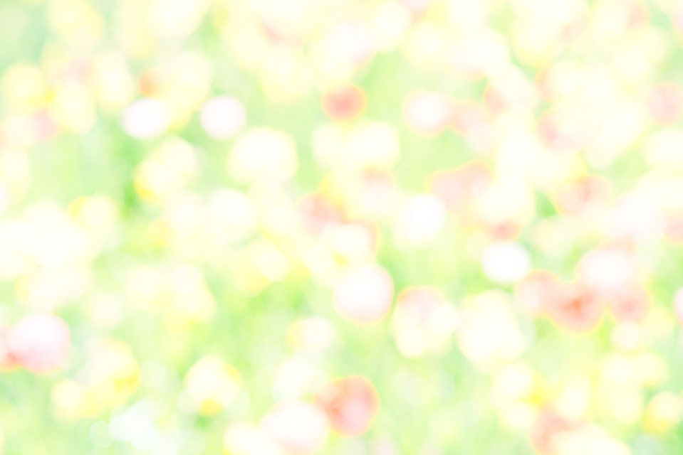 Bright IV - ID 006117