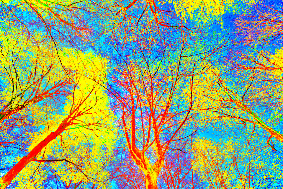 Color Painting - ID 006128