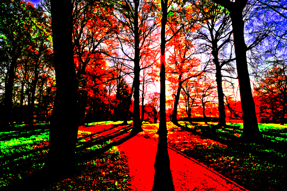 Hard Color - ID 006129