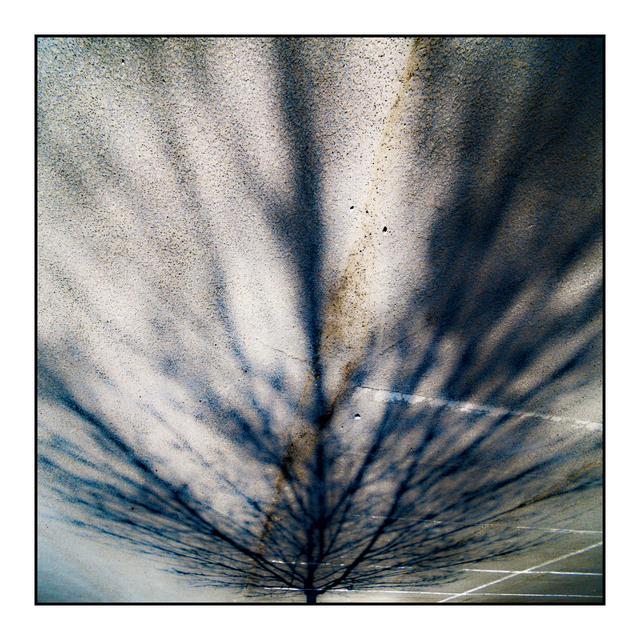 Color Shadow - ID 006140