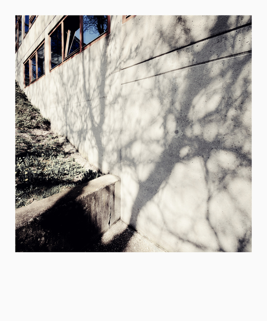 Shadow on Wall - ID 006161