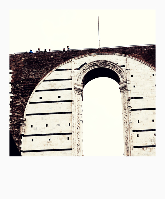 Cattedrale di Santa Maria Assunta VII - ID 006199