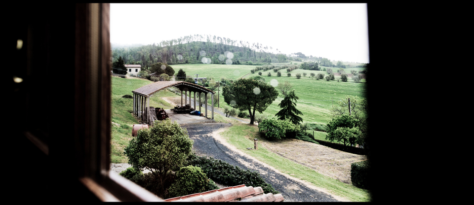 Rainy Window View - ID 006230