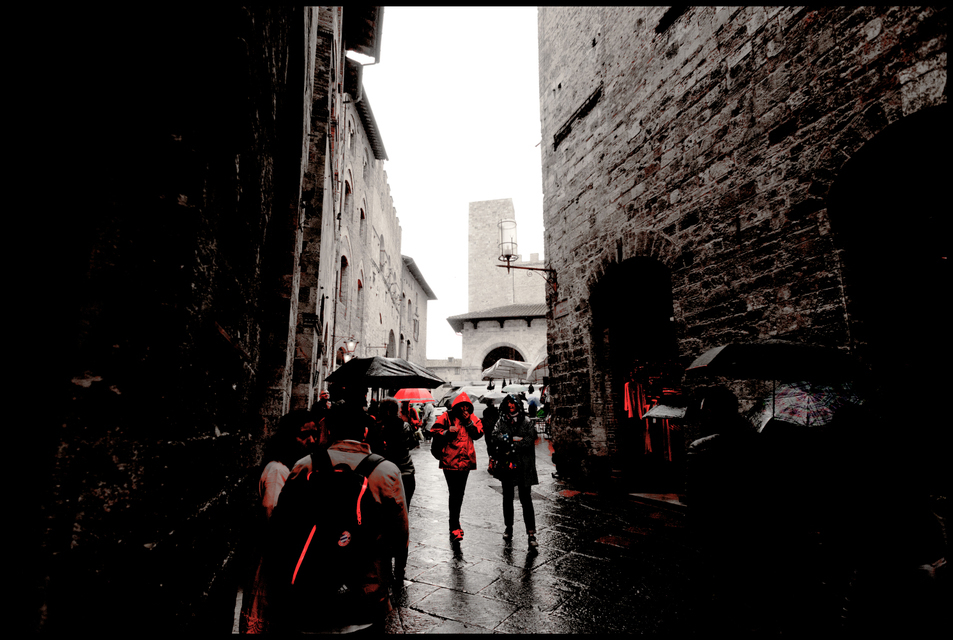 Wet Tuscany - ID 006249