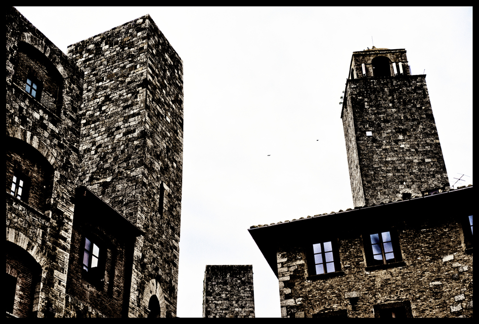 Two Birds between Towers - ID 006282