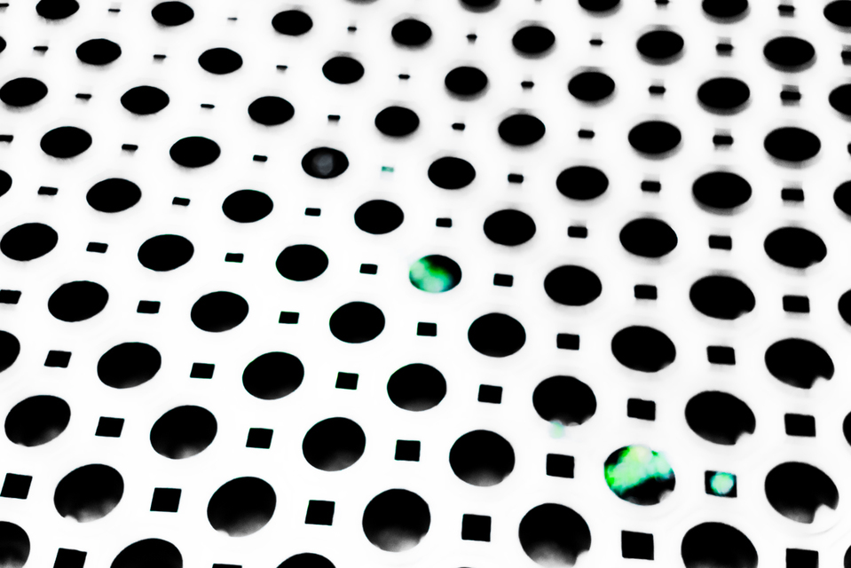 Shine on Green - ID 006332