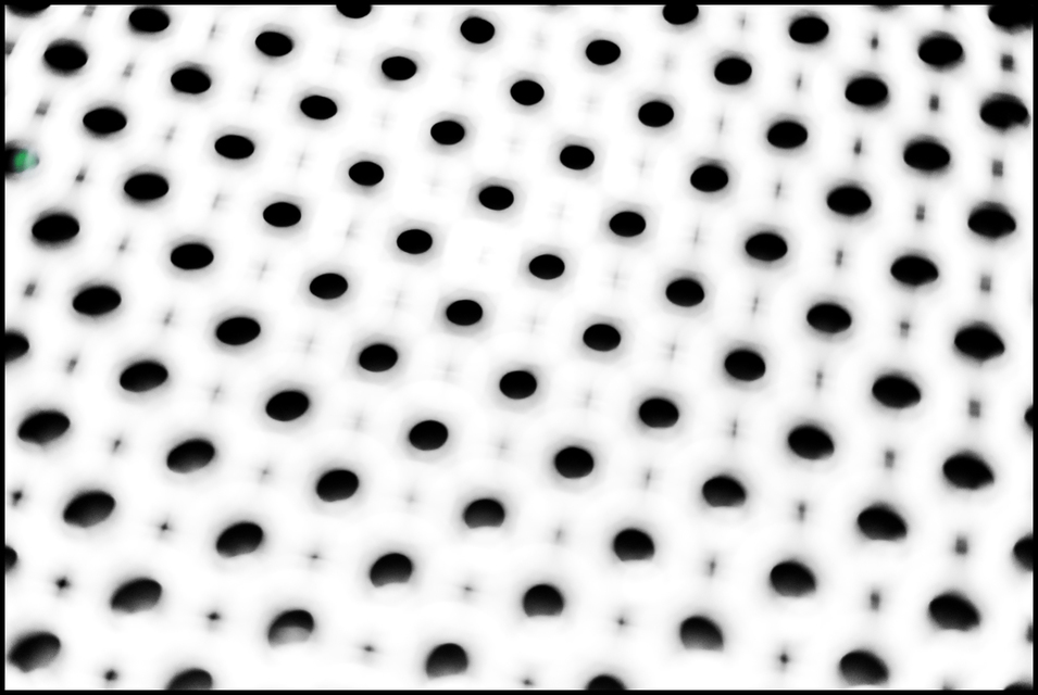 Last Green - ID 006337