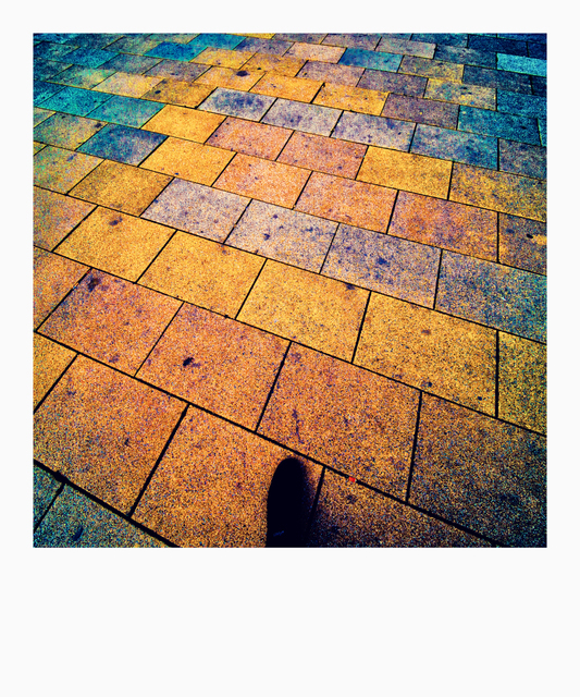 Show on Colored Ground - ID 006363