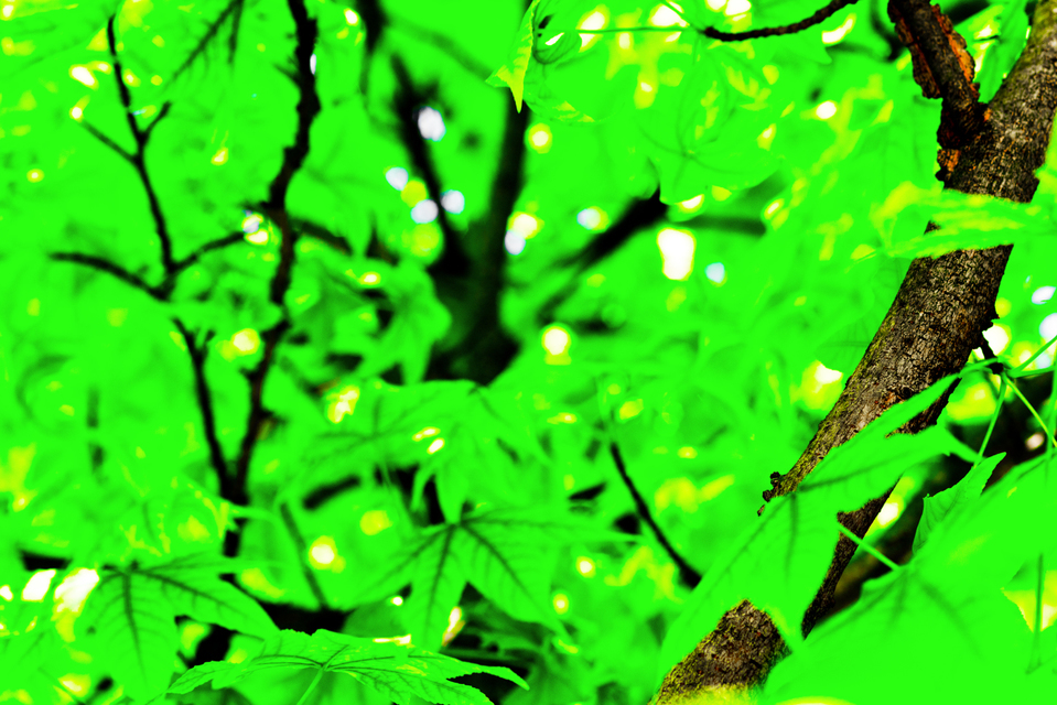 Green Extreme - ID 006405