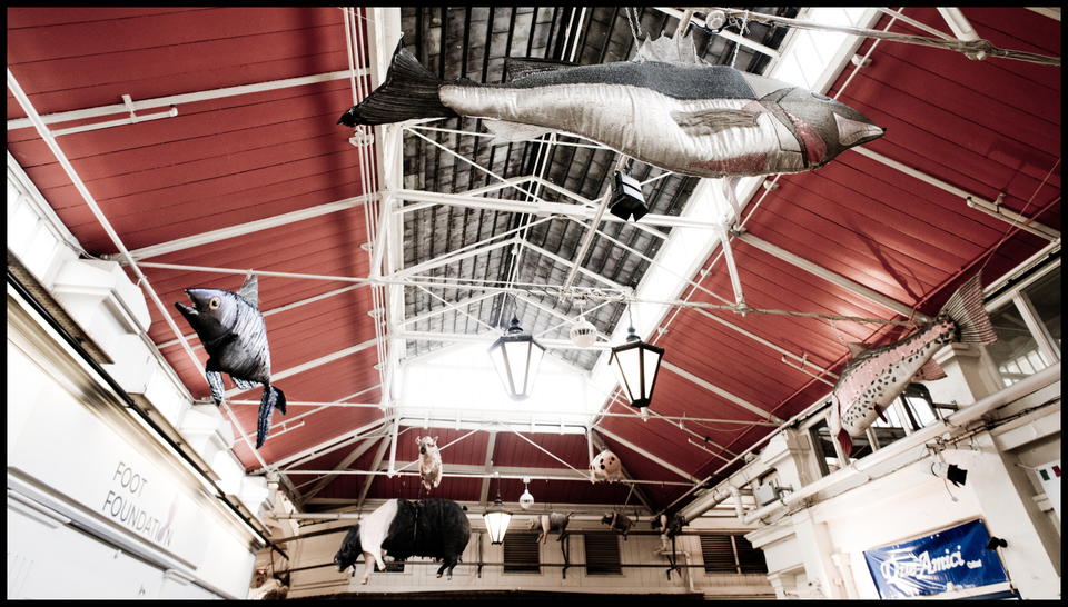 Flying Fish and Pig - ID 006452