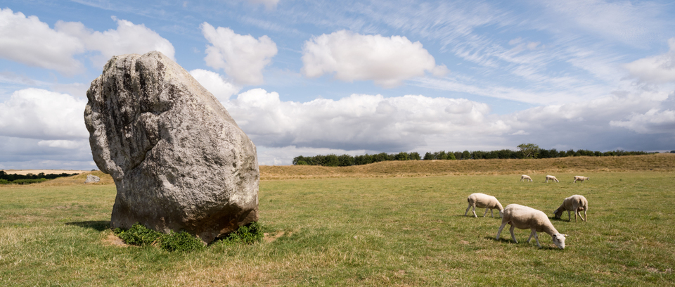Stone Circle and 6 Sheeps - ID 006470