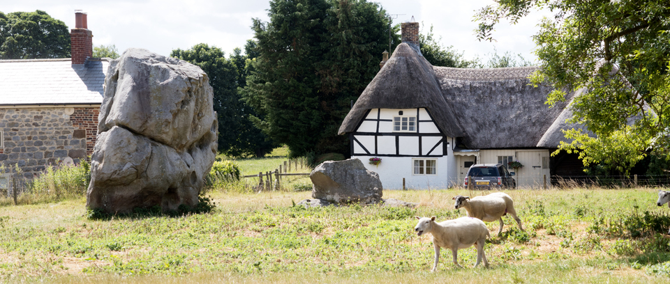 Stone Circle and one Maehhhh - ID 006471