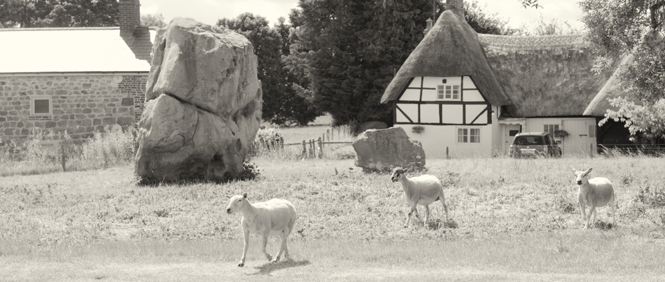Stone Circle and 3 Sheeps - ID 006472