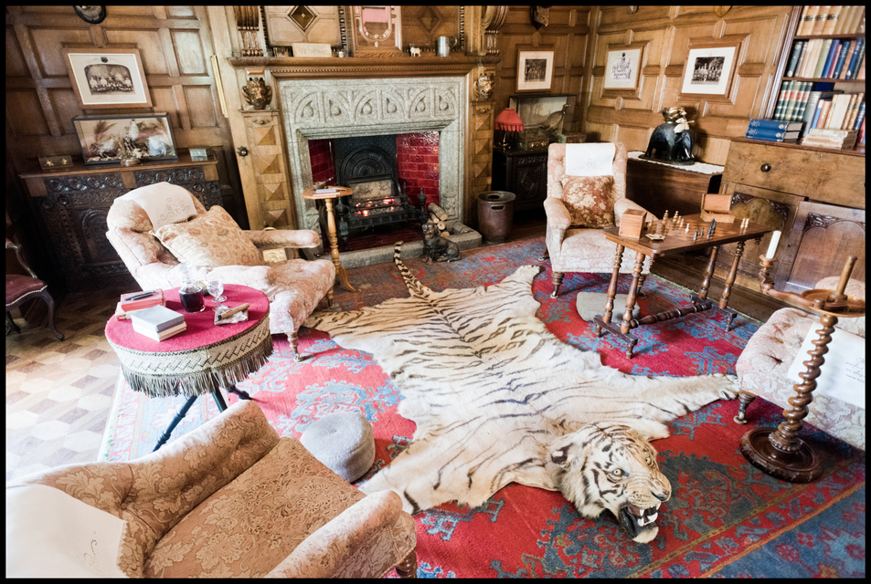 Manor Chimney Tiger - ID 006588