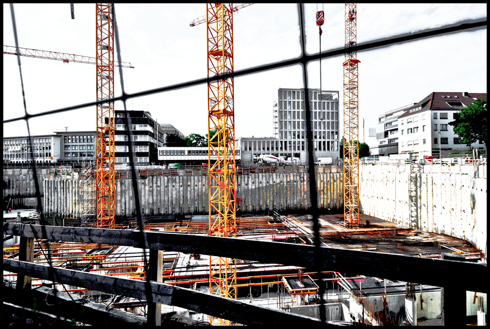 Cranes Legs - ID 006666