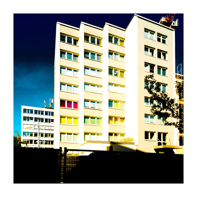 Red Shades - ID 006676