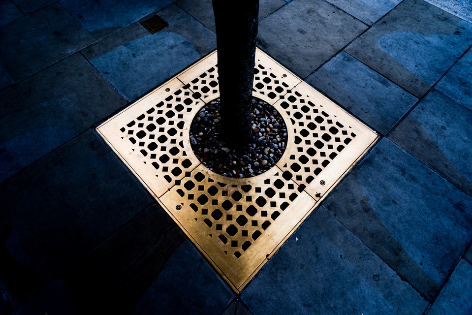 Tamed Nature - ID 006815