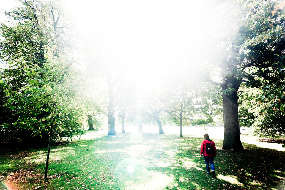 London Park III - ID 006842