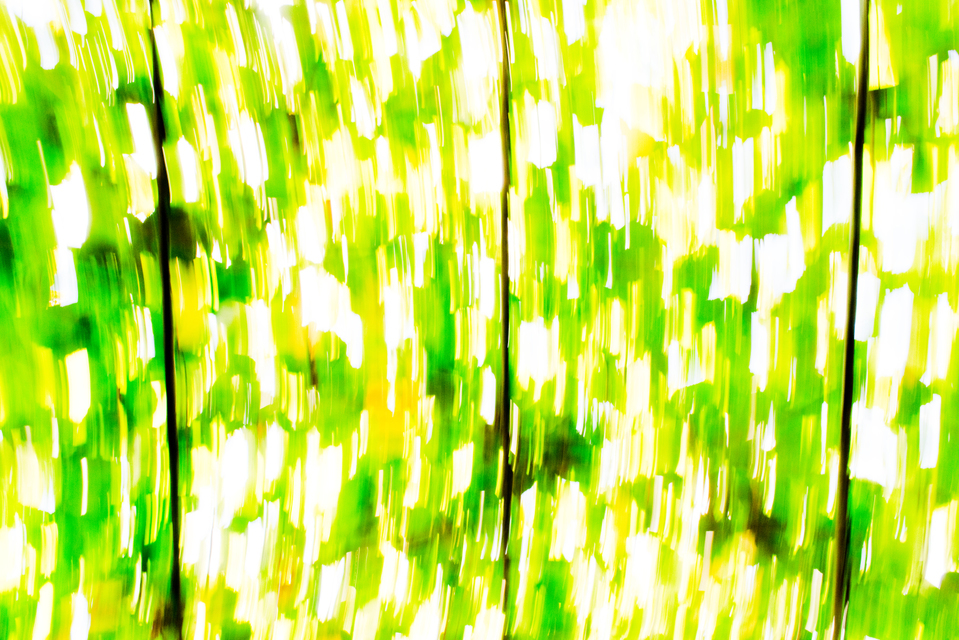 King Sky IV - ID 006852